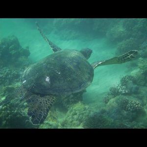 Meet your Posher, Kyla